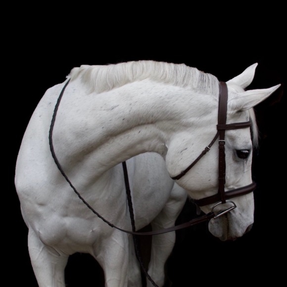 Meet your Posher, Gwendolen - Picture 1 of 1